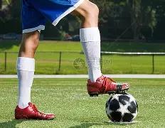 天津津门虎,开启新赛季,双胜之旅,爱游戏app,爱游戏官网,爱游戏体育官网,爱游戏体育app