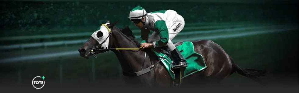 哈兰德帽子,戏法助曼城,客场,爱游戏app,爱游戏官网,爱游戏体育官网,爱游戏体育app