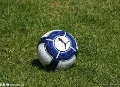 曼城与哥本,哈根欧冠第,战平,爱游戏app,爱游戏官网,爱游戏体育官网,爱游戏体育app