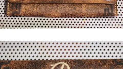 9岁少年辛集“小孩哥”全国乒乓球赛夺冠！